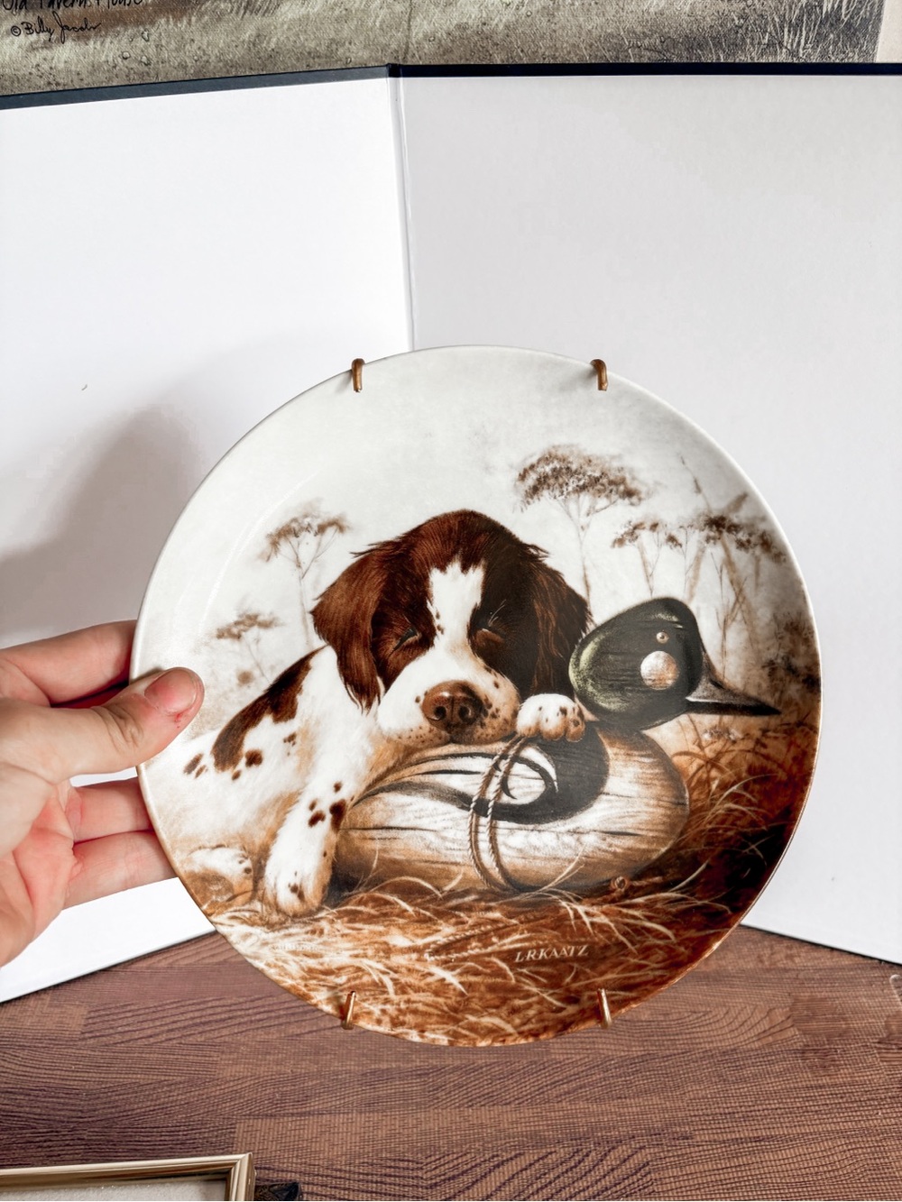 Vintage 1987’ “The Springer Spaniel” Collectors Plate